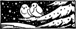 birds